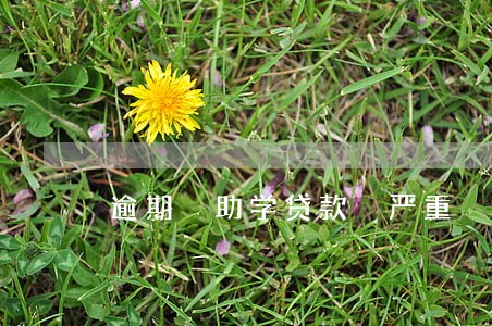 逾期 助学贷款 严重 买房 逾期 助学贷款 严重 买房